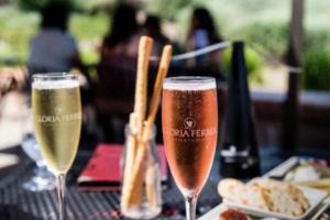 2026年世界杯,科技与足球的完美结合2026世界杯在哪个国家