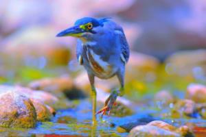 2026年世界杯，一场改变全球足球格局的盛会2026年世界杯举办时间